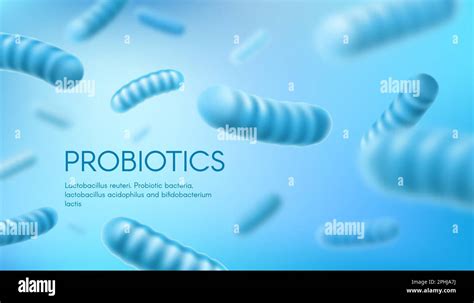 Probiotic Bacteria Lactobacillus Acidophilus And Bifidobacterium