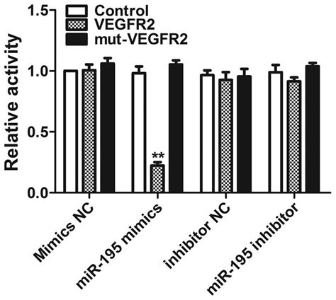 Microrna Targets Vegfr And Has A Tumor Suppressive Role In Achn