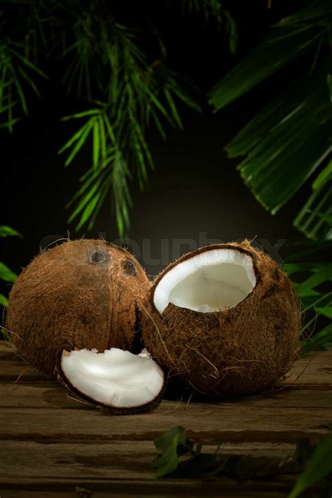 Coconut Stock Image Colourbox