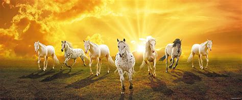 Running Seven Horses Wallpapers - Wallpaper Cave