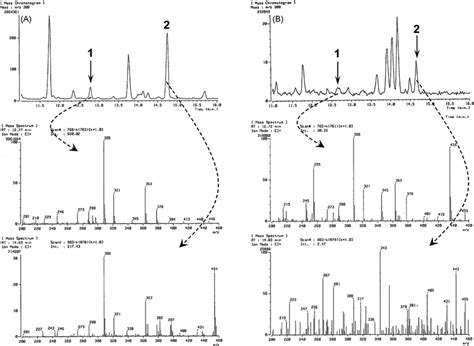 Gc Ms Chromatograms And Mass Spectra For Identification Of Download Scientific Diagram