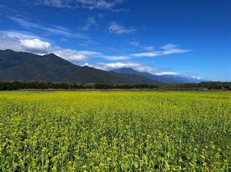 Follow交通疏導措施 春節遊花東旅途平安