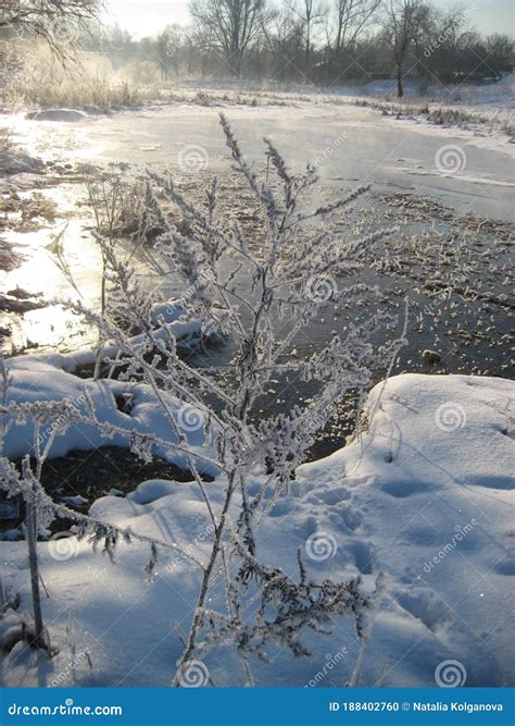 Paisagem De Inverno Em Um Rio Congelado Foto De Stock Imagem De Abeto