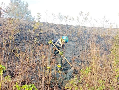 El Heraldo De Xalapa Mantienen Vigilancia Sobre 4 Incendios En La