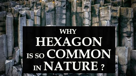 Why Hexagon Are So Common In Nature Youtube