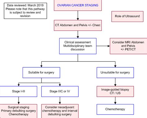 Ovarian Cancer Staging