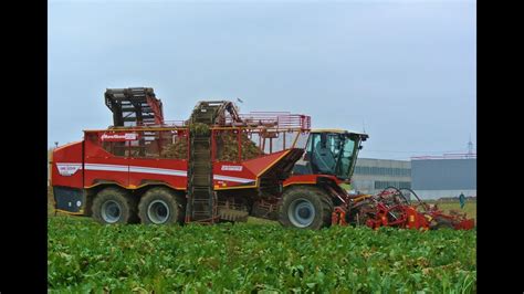 R Benernte Grimme Rexor Platinum Grimme Rexor Fendt