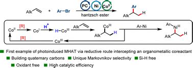 Photoinduced Co Ni Cocatalyzed Markovnikov Hydroarylation Of