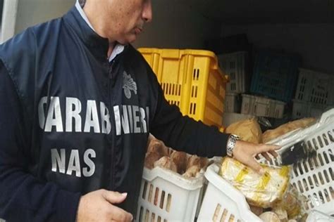 Terracina Carenze Igenico Sanitarie E Strutturali Nel Panificio