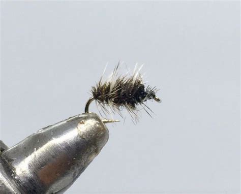 One Dozen 12 Griffiths Gnat Dry Fly Strike Fly