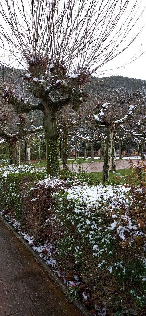 Nieve En Primavera Nieve Sol Y Nubes En Agoitz Eitb Eus Flickr