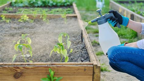 El fungicida casero que es oro en polvo para el jardín y lleva un solo