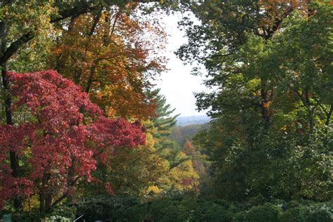 LATE OCTOBER Fall Foliage ++++ - Gramercy Mansion