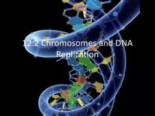 Ppt Dna Chromosomes And Dna Replication Powerpoint Presentation