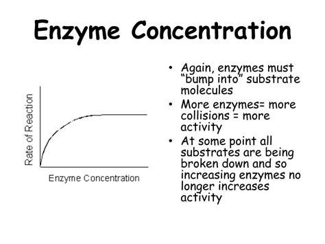 Ppt Enzymes Are Proteins Powerpoint Presentation Free Download Id