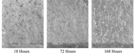 Chronicle The Progression Of Corrosion Of Az31b H24 And The Various