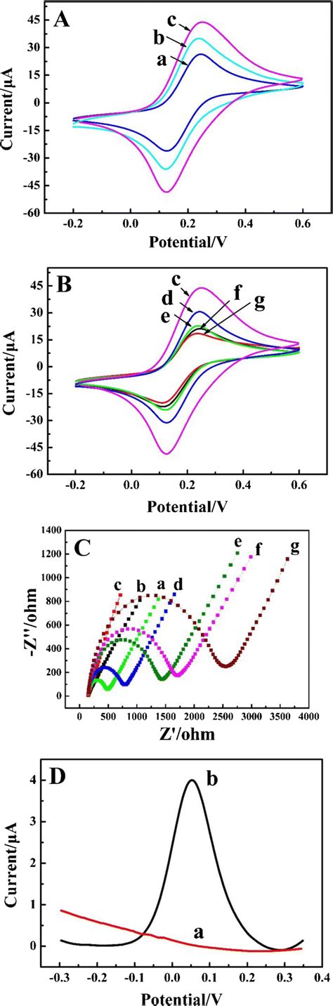 A And B Cvs Of The Different Assembled Steps Of The Microrna In