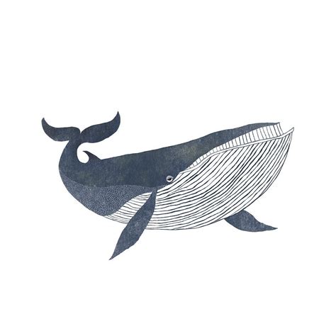 「whales」の画像（投稿者：maayan Melzer さん） クジラの絵 魚イラスト クジラ イラスト