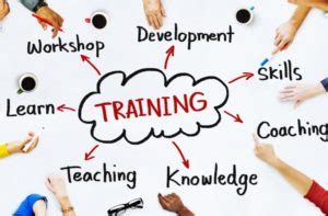 How New Employee Training Boosts On-the-Job Productivity