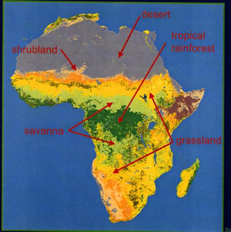 Biome Types