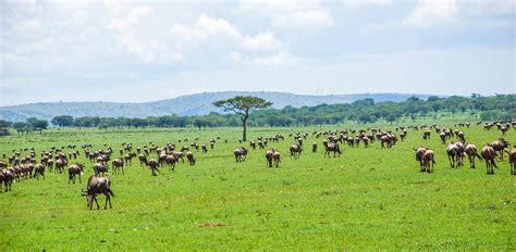 Serengeti National Park