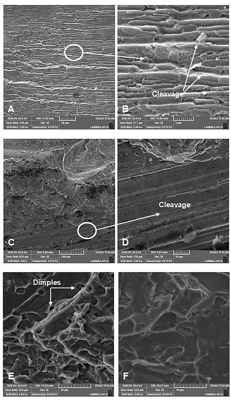 Sem Images Of The Fracture Surfaces A B D C D D E S And F