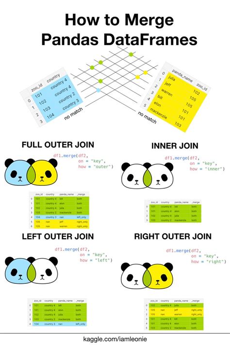 How To Merge Pandas Dataframes In 2022 Data Science Panda Names Sql Join