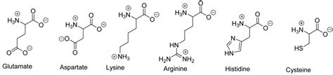 Ionized Amino Acids Download Scientific Diagram
