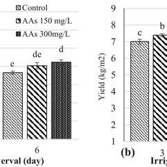 The Effect Of Foliar Application Of Amino Acids AAs Fertilizer On