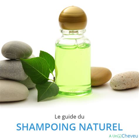 Le Shampoing Naturel Mode Demploi Quest Ce Quun Shampoing