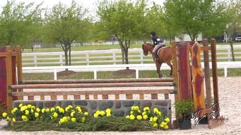 6 Grace McReynolds And Kabaltic USEF Dover Hunt Seat Medal Work Off