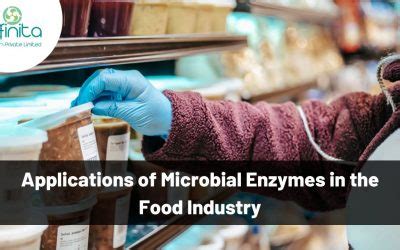 How Are Enzymes Used In The Food Industry Infinita Biotech