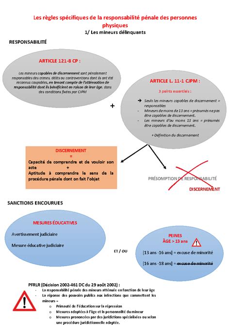 Carte mentale Responsabilité pénale des mineurs Les règles