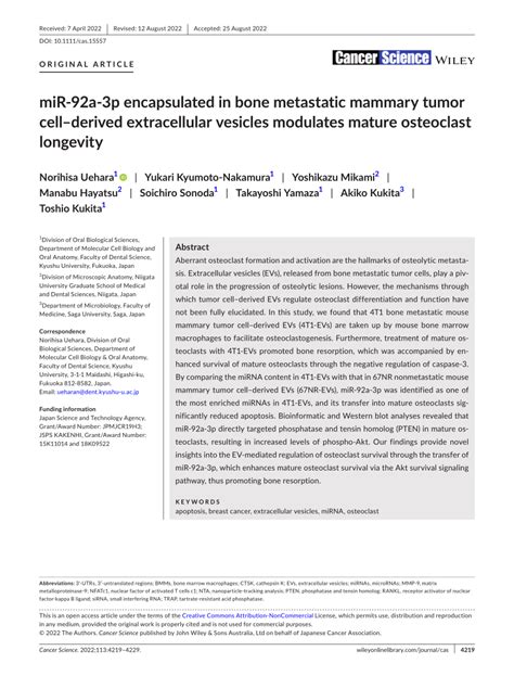 PDF MiR 92a3p Encapsulated In Bone Metastatic Mammary Tumor Cell