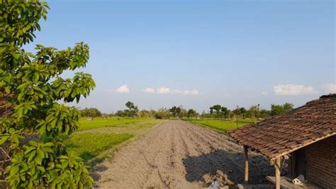 Prakiraan Cuaca Hari Ini Untuk Wilayah Tasikmalaya Dan Sekitarnya