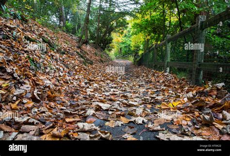 Rouken Glen Park Glasgow Stock Photo Alamy