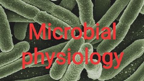 CSIR-UGC NET - Bacterial Cell Wall: Peptidoglycan Layer. Offered by ... 
