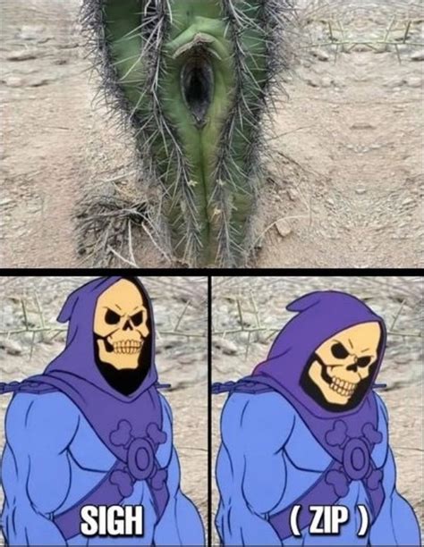 Horny Skeletor 9GAG