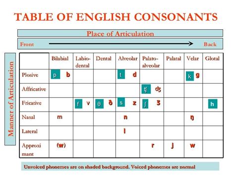 Consonant G1a