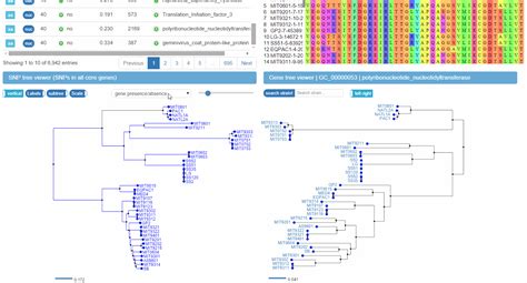 panX: pan-genome analysis & exploration