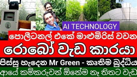 Fully Automated Muriya F Greenhouse With Ai Technology Polytunnel