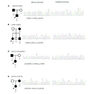 Four Potentially Pathogenic Variants Detected In This Study The