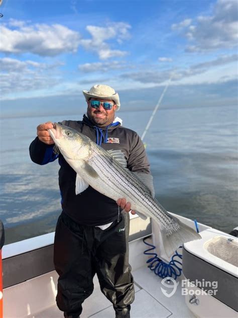 Great Striper Fishing Continues Highlands Fishing Report Fishingbooker