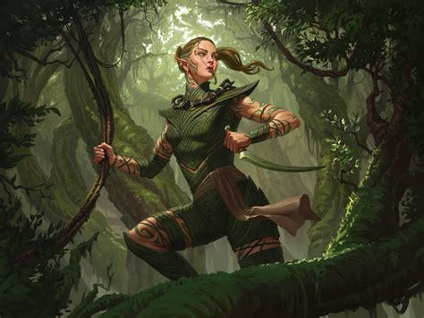 Llanowar Elf Scout By Rodrigo Clark 1920x1440 Rmtgporn