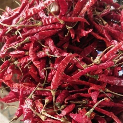 Teja Dry Red Chilli With Stem At Best Price In Raipur ID 2852154481648