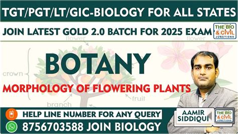 Tgt Pgt Lt Gic Dsssb Emrs Biology Morphology Of Flowering Plants