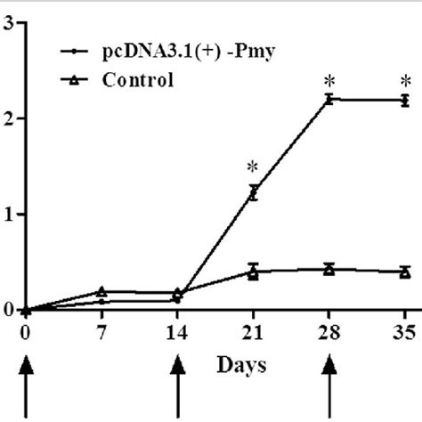 Antibody Responses From Immunized Rabbits With Dna Vaccine Sera