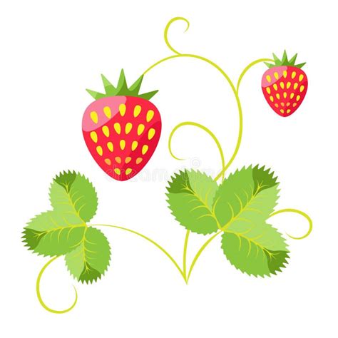 Arbusto de fresas frutales ilustración del vector Ilustración de