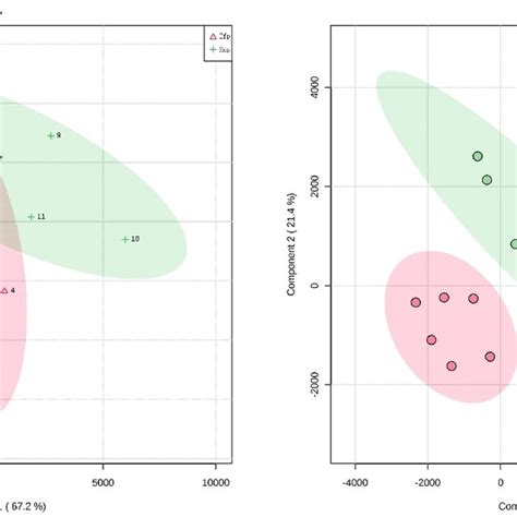 Principal Component Analysis Pca Of Metabolic Profiles And Pls Da Of Download Scientific