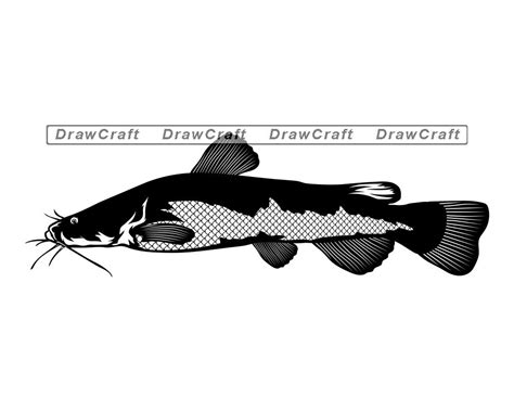 Flathead Catfish Svg Fish Svg Fishing Svg Fishing Cut Etsy